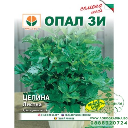 Целина Листна