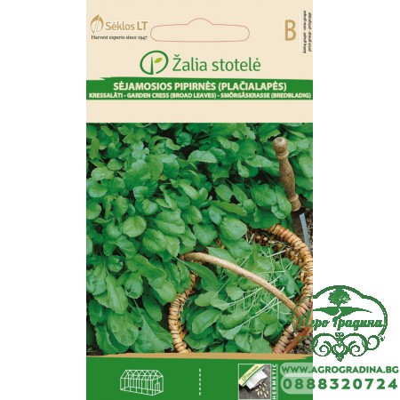 Крес Градински / Garden Gress