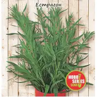 Естрагон Artemisia dracunculus