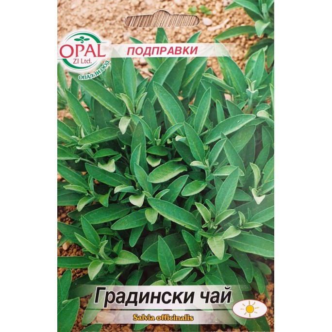 Градински чай (Салвия) Salvia officinalis