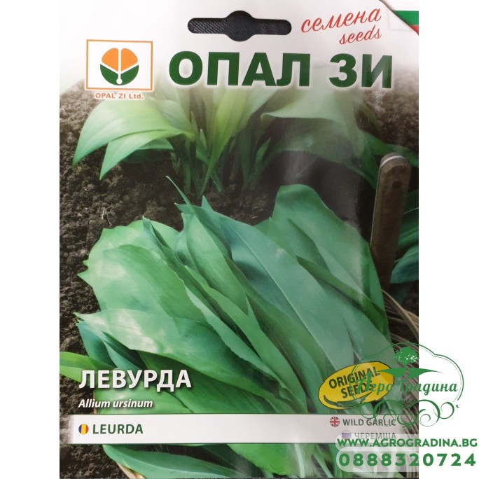Левурда - Див лук