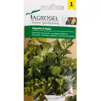 Магданоз Италиански гигант