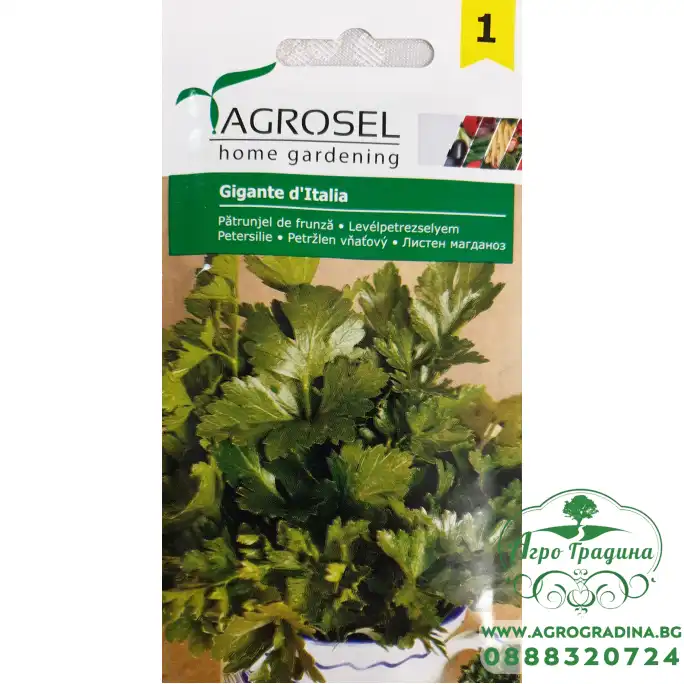 Магданоз Италиански гигант