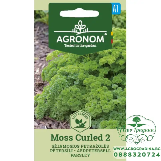 Магданоз - Къдрав Moss Curled