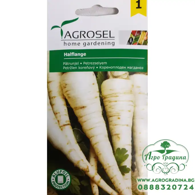 Магданоз коренов Халфландж