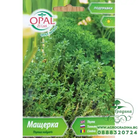 Мащерка Thymus vulgaris