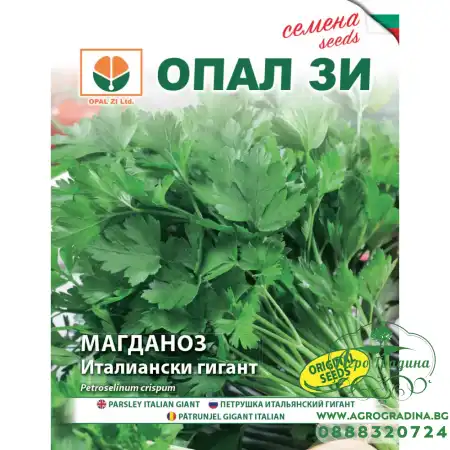 Магданоз Италиански гигант