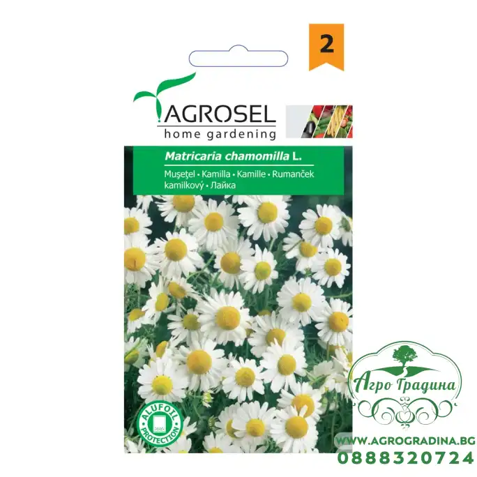 Семена за Лайка Matricaria chamomilla