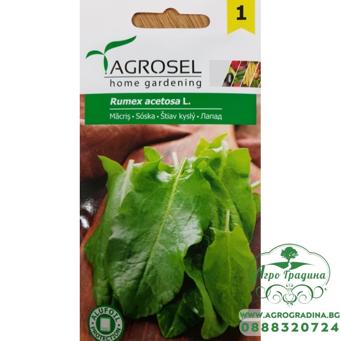 Семена за Лапад