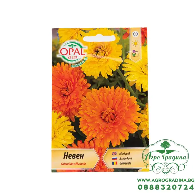 Медицински невен Calendula officinalis
