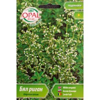 Бял риган Origanum hirtum