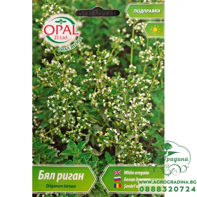 Бял риган Origanum hirtum Бял риган Origanum hirtum