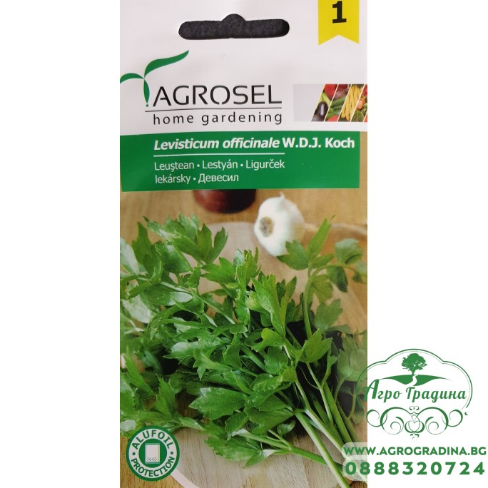 Девесил Levisticum officinale Девесил Levisticum officinale