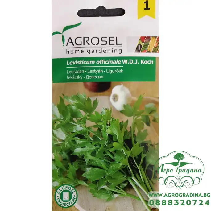 Девесил Levisticum officinale Девесил Levisticum officinale