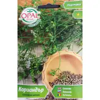 Кориандър Coriandrum sativum