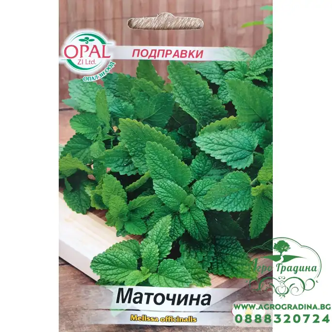Маточина Melissa officinalis Маточина Melissa officinalis