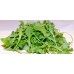 Рукола Eruca sativa Mill. – Марули и салати