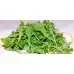 Рукола Eruca sativa Mill. – Марули и салати