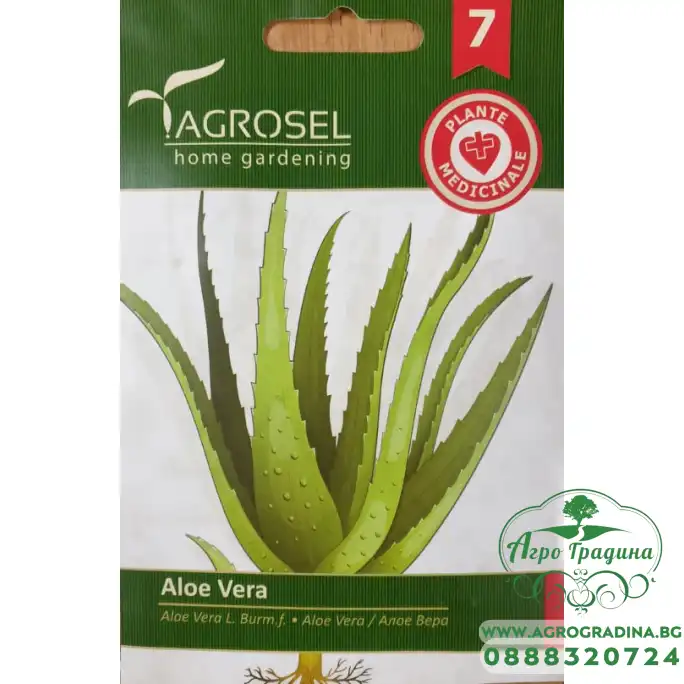 Семена за Алое Вера Aloe vere Семена за Алое Вера Aloe vere