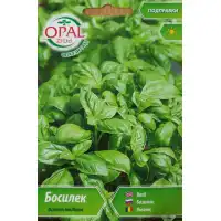 Босилек Ocimum basilicum