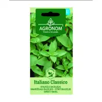 Босилек Класически Италиански Ocimum basilicum