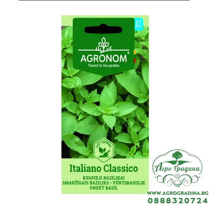 Босилек Класически Италиански Ocimum basilicum Босилек Класически Италиански Ocimum basilicum