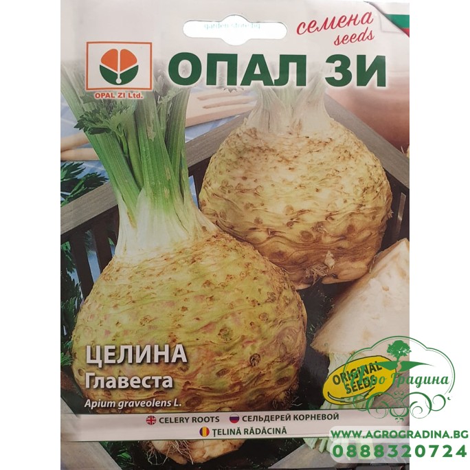 Целина главеста
