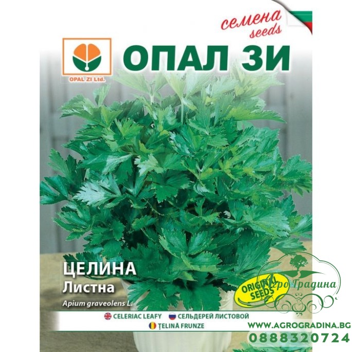 Целина Листна