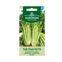 Целина Дръжкова Тал Юта Tall Utah