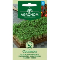 Семена за Микро Крес Коммон Common