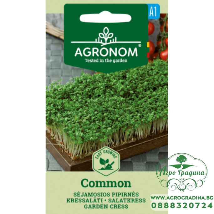 Семена за Микро Крес Коммон Common