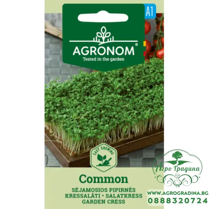 Семена за Микро Крес Коммон Common Семена за Микро Крес Коммон Common