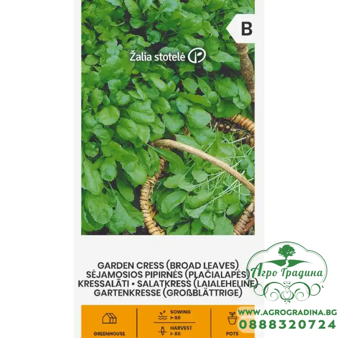 Крес Градински Garden Gress Крес Градински Garden Gress