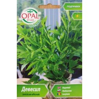 Девесил Levisticum officinale