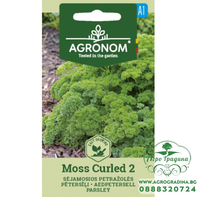 Магданоз Къдрав Moss Curled 2 Магданоз Къдрав Moss Curled 2