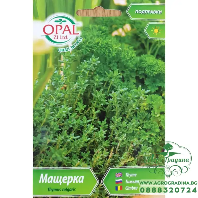 Мащерка Thymus vulgaris Мащерка Thymus vulgaris
