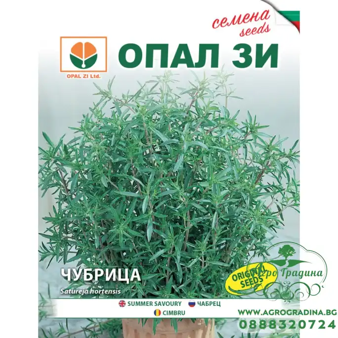 Чубрица Чубрица