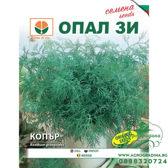 Копър Anethum graveolens Копър Anethum graveolens