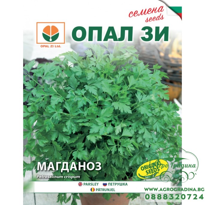 Магданоз Магданоз