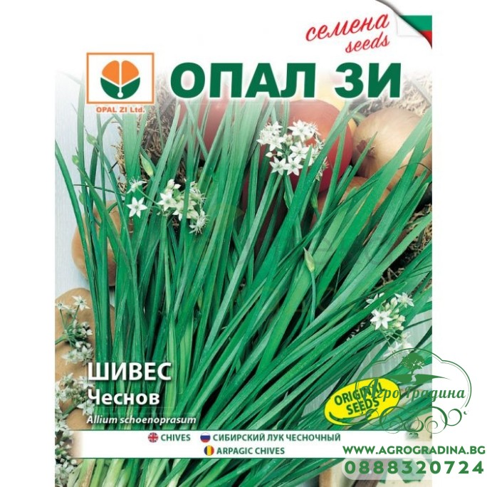 Шивес чеснов – Ароматни Подправки