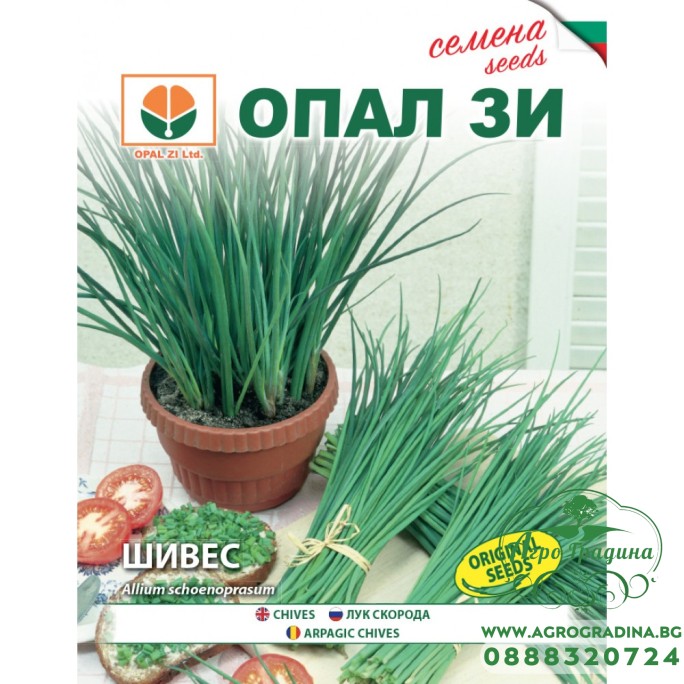 Шивес (Луков) Шивес (Луков)
