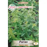 Риган Оriganum vulgare