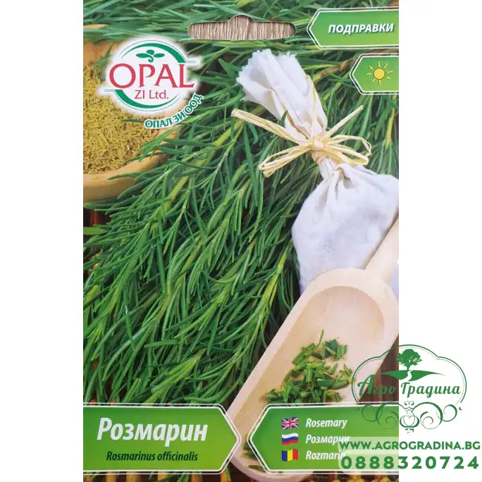 Розмарин Rosmarinus officinalis Розмарин Rosmarinus officinalis