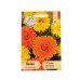Медицински невен Calendula officinalis – Ароматни Билки