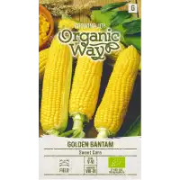 Органик Царевица Сладка Голдън Бантам Golden Bantam