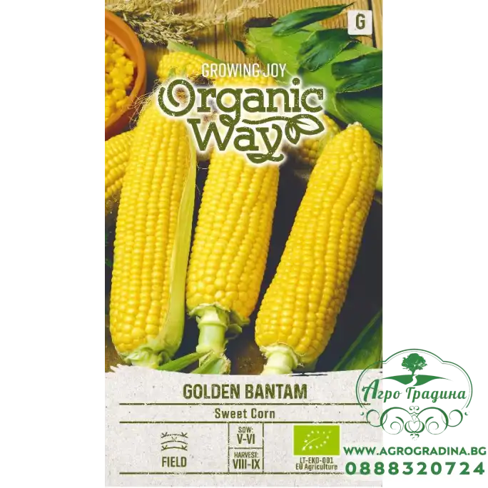 Органик Царевица Сладка Голдън Бантам / Golden Bantam