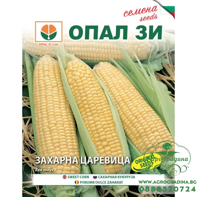 Царевица захарна Голдън батам