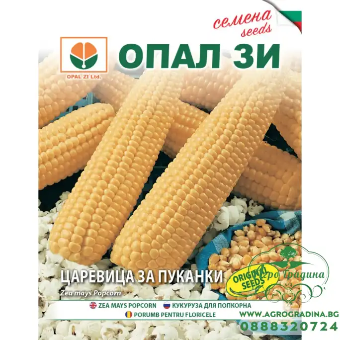 Царевица за пуканки Пломик