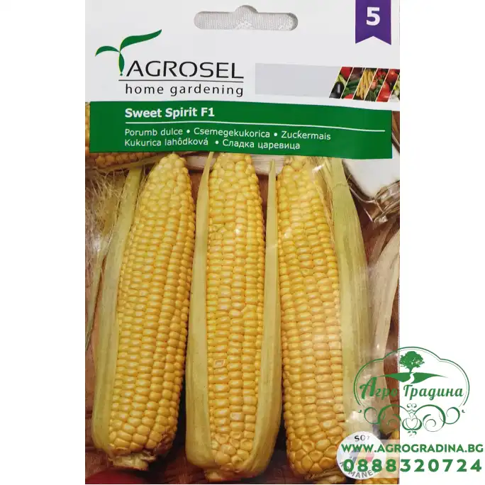 Сладка Царевица Спирит F1