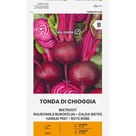 Салатно Цвекло Чиогиа / Tonda Di Chiggia